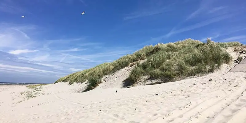 Centrum voor Natuur en Landschap