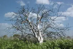 Wandelen over het eilandje Tiengemeten
