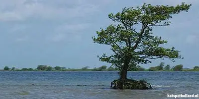 Tiengemeten Insel