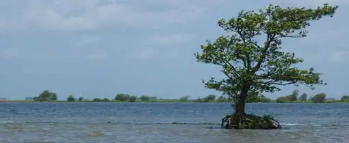 Tiengemeten: onbewoond eiland