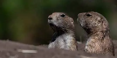 Leuke en unieke uitjes 