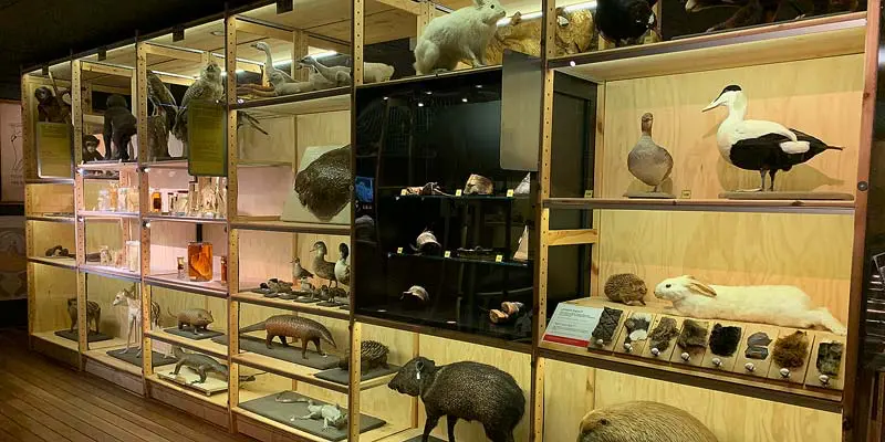 Universiteitsmuseum Utrecht Universiteitsmuseum Utrecht
