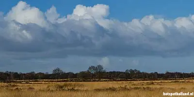 Leuke en unieke uitjes 