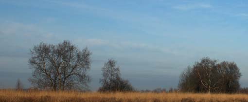 Veenlijken Drenthe, Te zien in Assen Eén van de uitgestrekte veengebieden in Drenthe. Wat voor geheimen zouden hier in de bodem zitten?