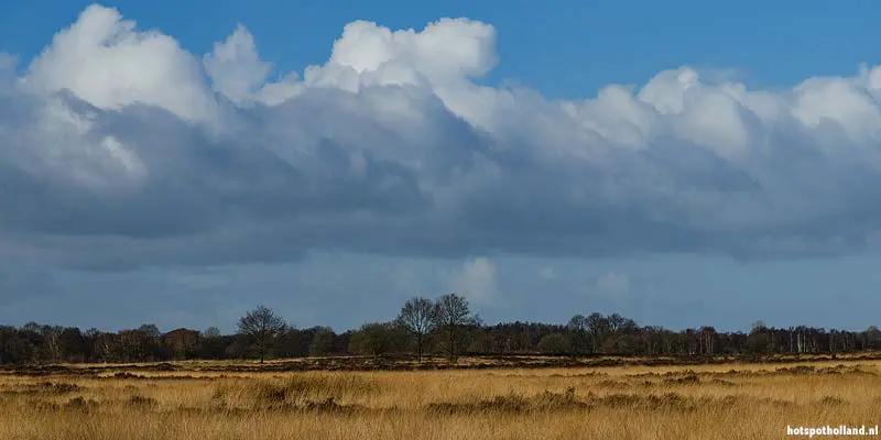 Veenlijken Drenthe