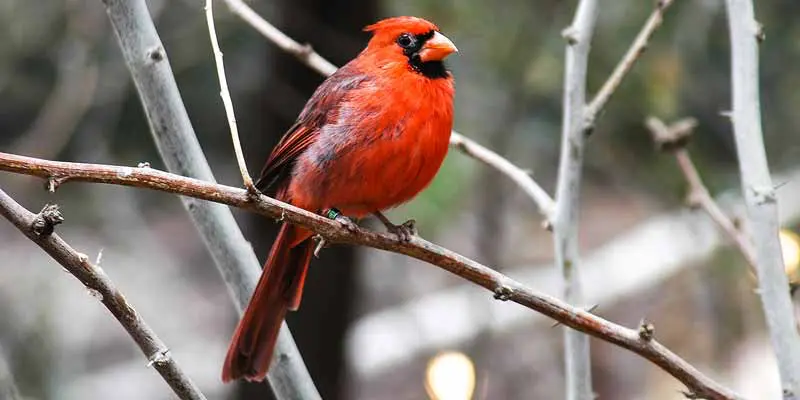 Zoo Veldhoven