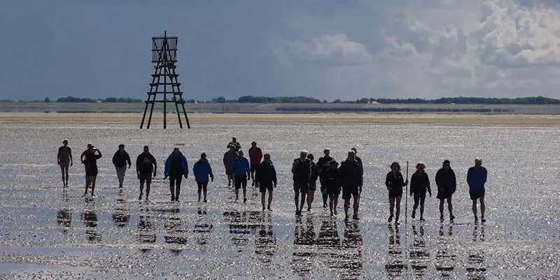 Mudflat walking to the Cape on the Engelsmanplaat