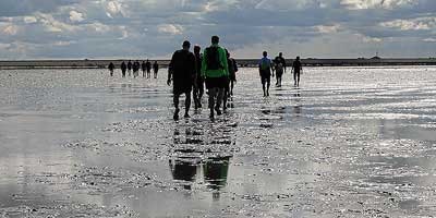 Mudflat hiking at the Wadden Sea