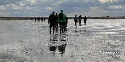 Wadlopen