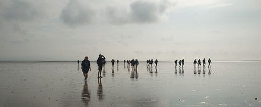 Waddenvakantie: De mooiste plekken, Het is Wad'n weer! Wadlopen