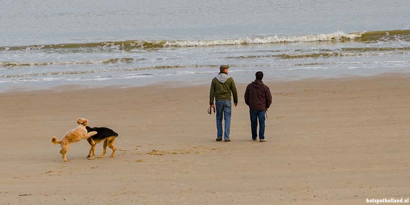 Met de hond op het strand wandelen