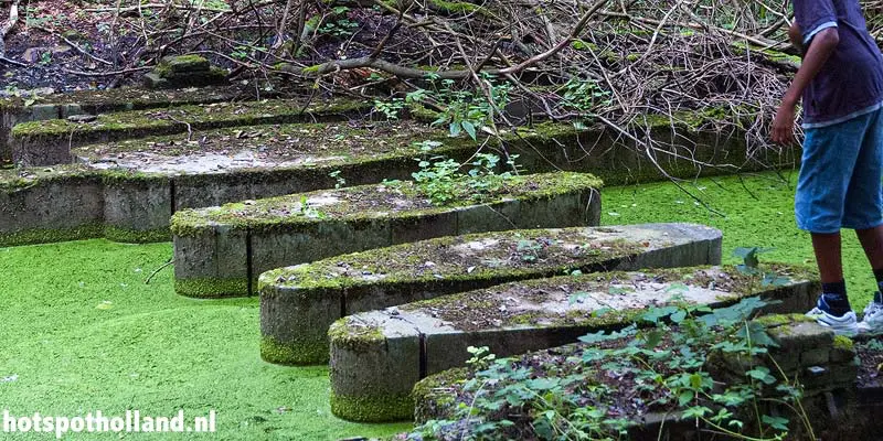 Waterloopbos