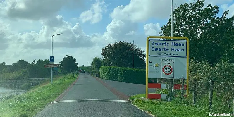 Zwarte Haan Zwarte Haan