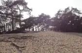 The Wekeromse Zand on the Veluwe in Gelderland