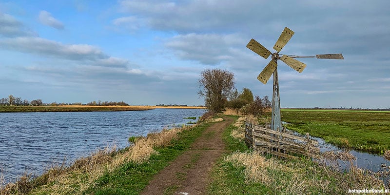 Williskop