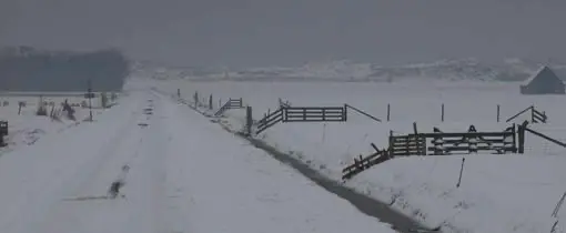 Koude winter op Texel