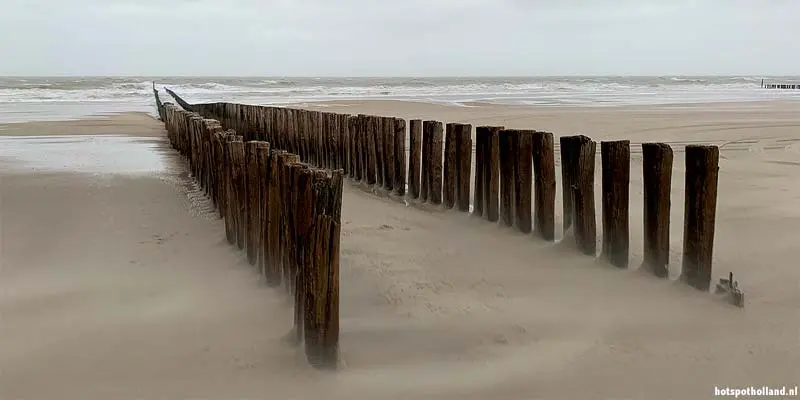 Haaientanden zoeken op het strand in Zeeland