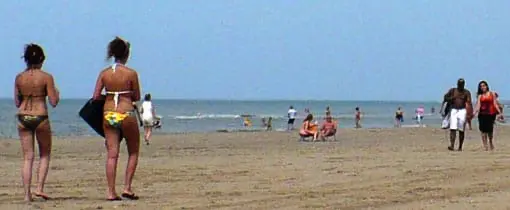 Met de hond op het strand wandelen